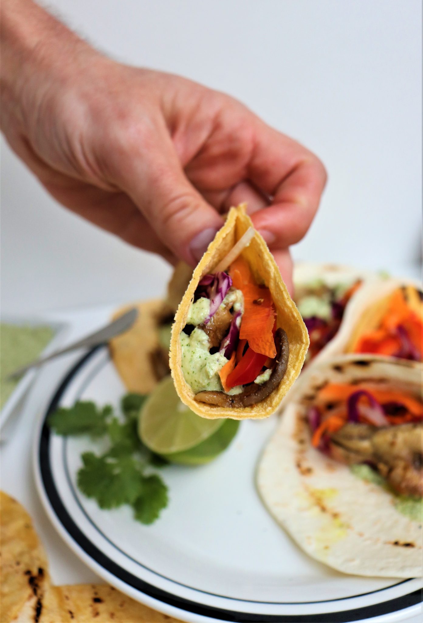 Wild Oyster Mushroom Tacos with Purple Cabbage Slaw - Very Vegan Val